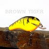 Old School Balsa Square Bill 2 in Brown Tiger
