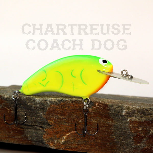 Chartreuse_Coach_Dog_W2_grande