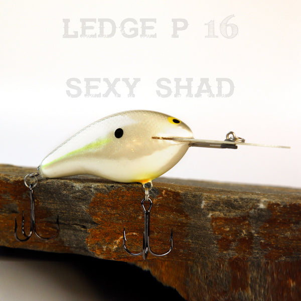 PH Ledge P 16 – PhCustomlures