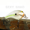 Old School Balsa Square Bill 2 in Sexy Shad