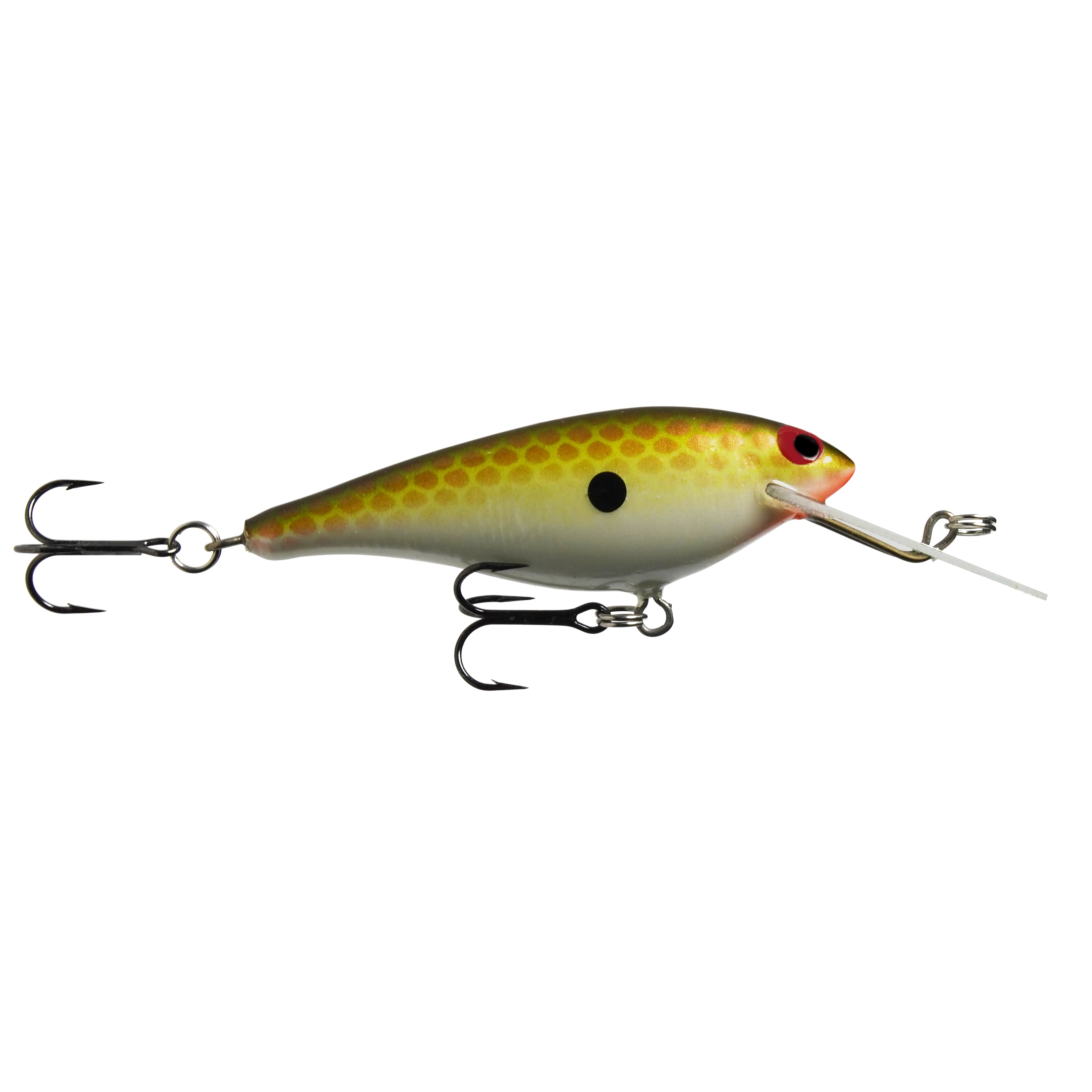 bait fish lure PH