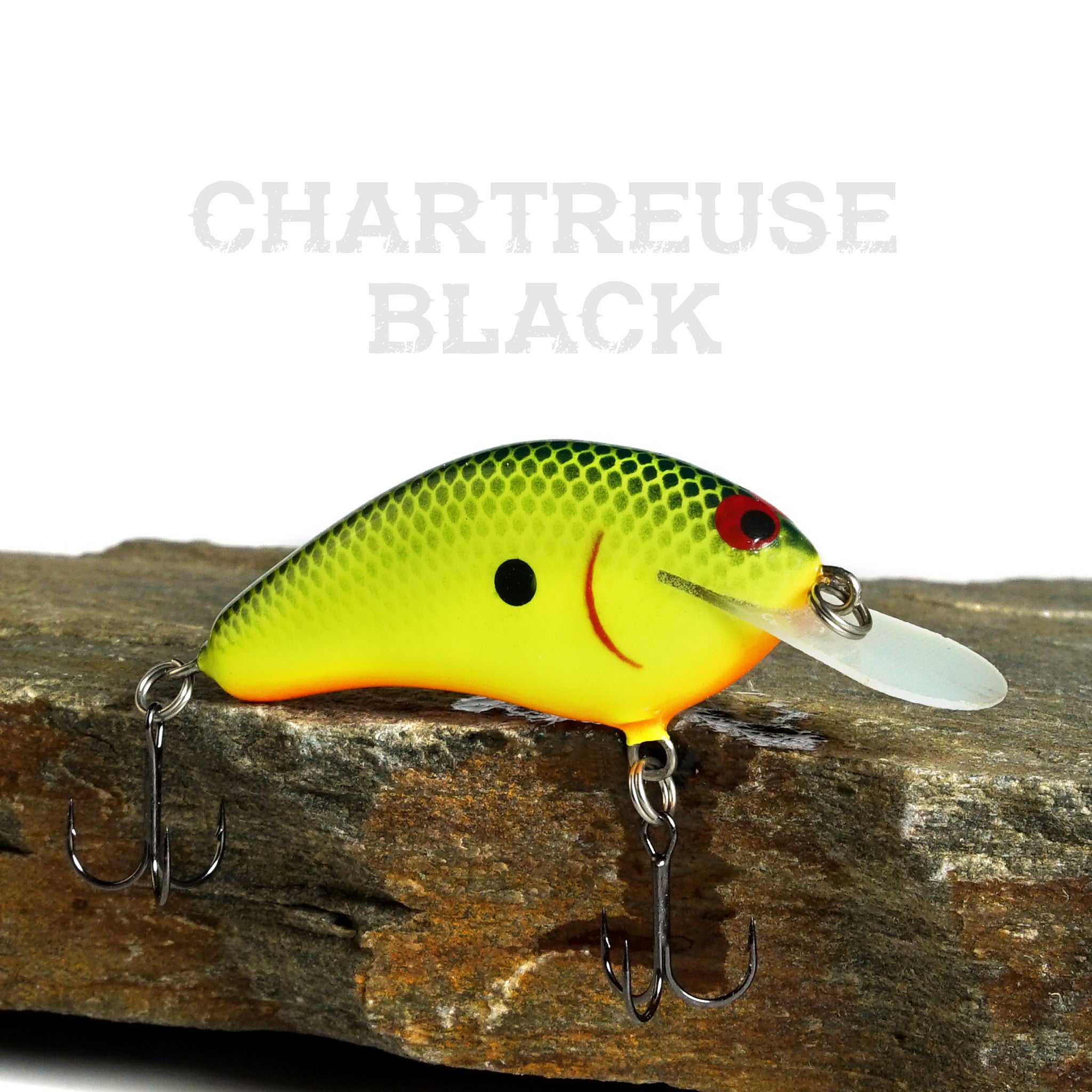 dollar tree fishing lures PH